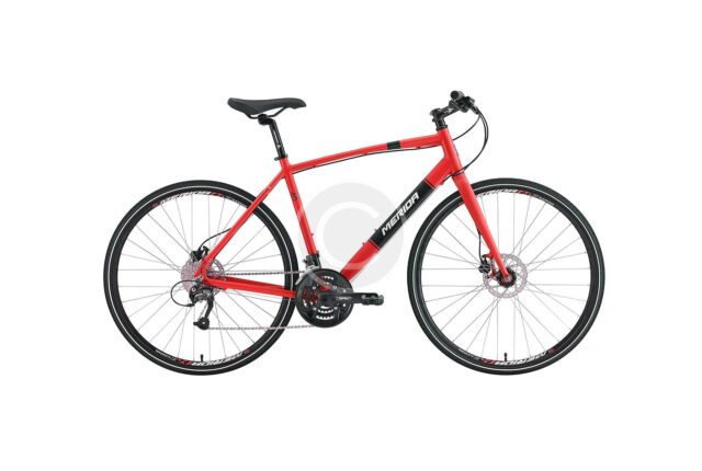 Linus Dutchi 3-speed internal red frame